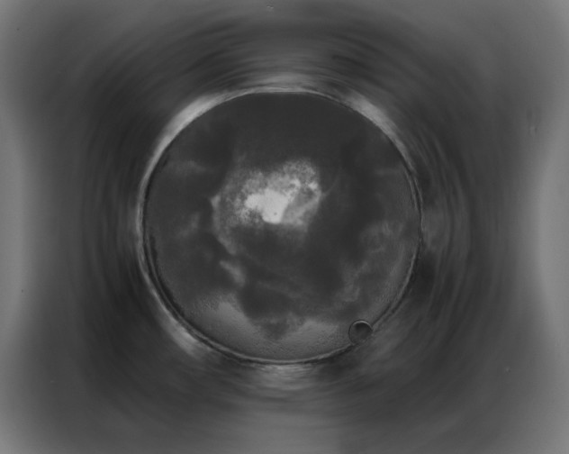 X0000086921482200704161352