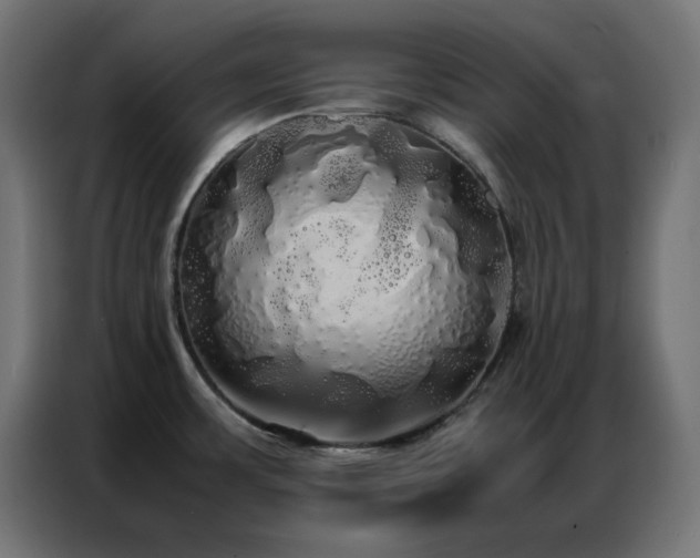 X0000086921483200704161352