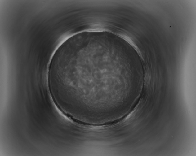 X0000086921484200704161352