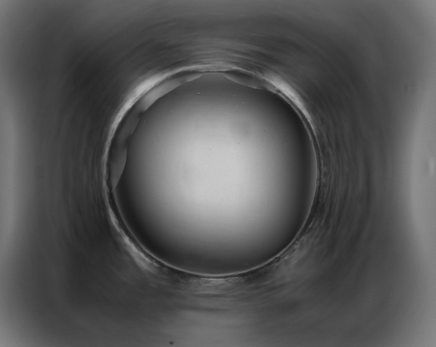 X0000086921485200704161352