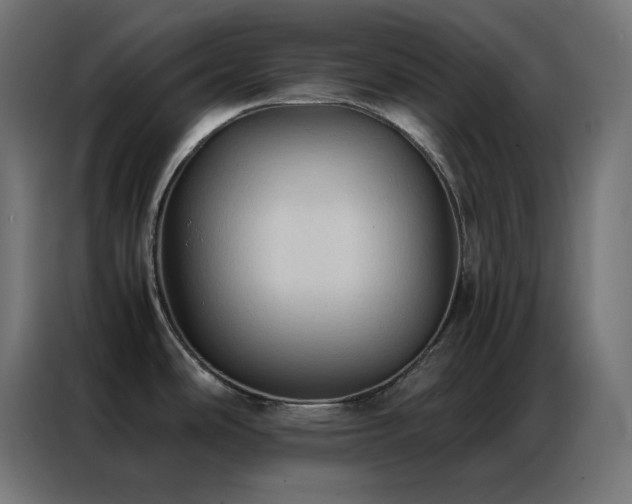 X0000086921486200704161352