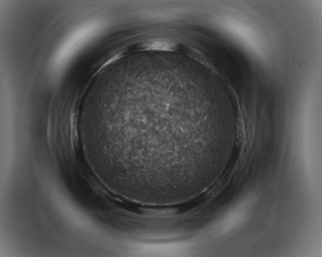 X0000086921487200704161352