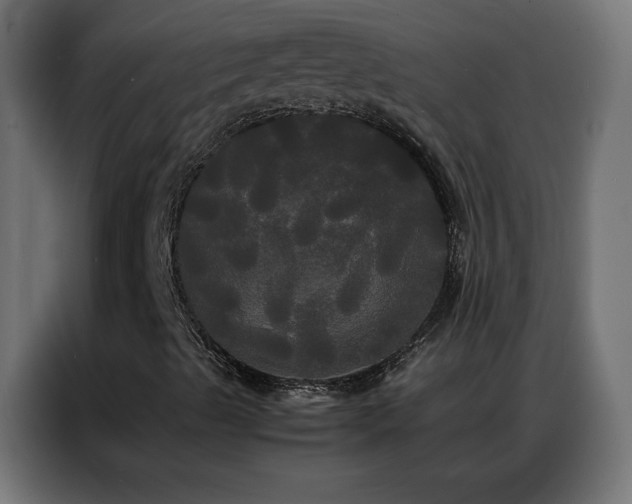 X0000086921489200704161351