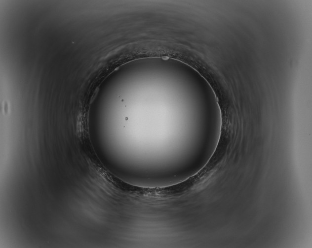 X0000086921490200704161351
