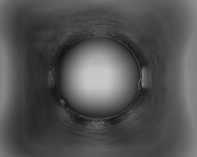 X0000086921491200704161351