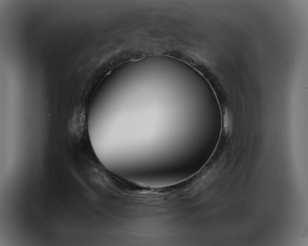 X0000086921492200704161351