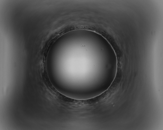 X0000086921493200704161351