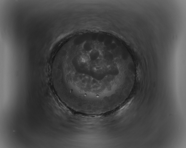 X0000086921494200704161351