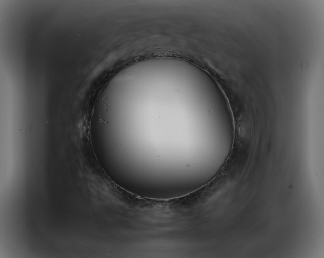 X0000086921495200704161351