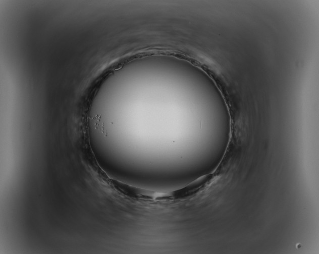 X0000086921496200704161351