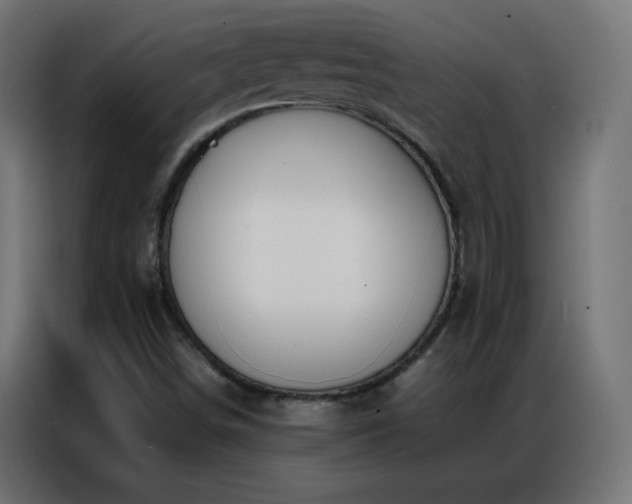 X0000086921498200704161351
