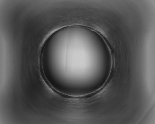 X0000086921500200704161351