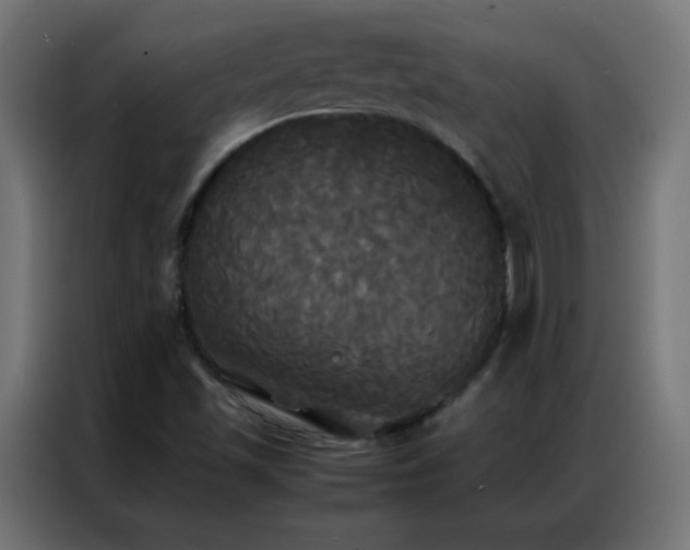 X0000086921501200704161351