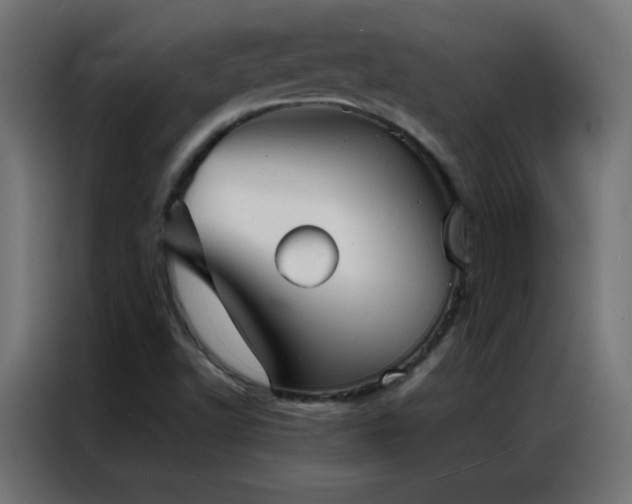 X0000086921502200704161351