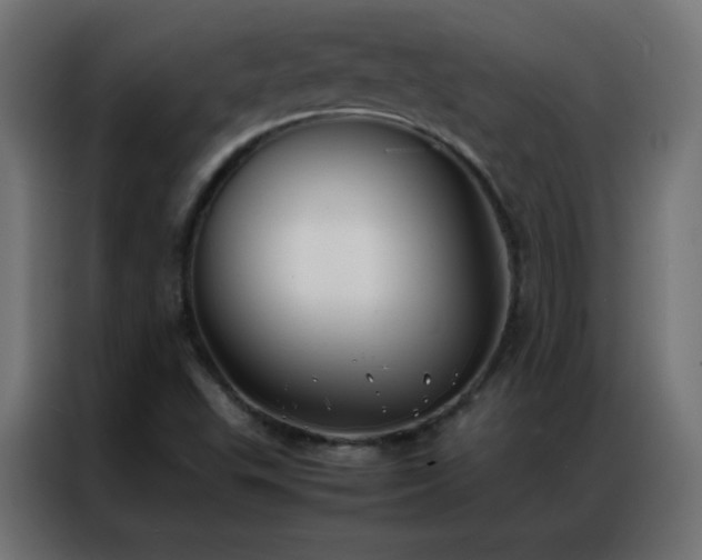 X0000086921503200704161351