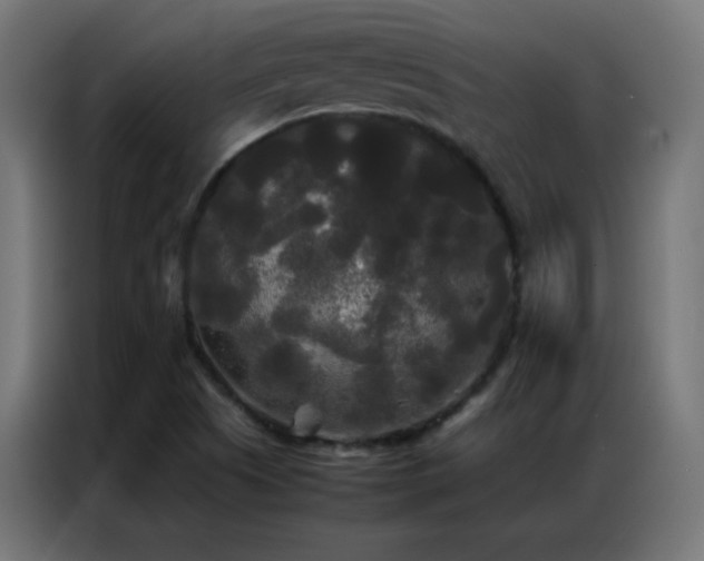 X0000086921505200704161351