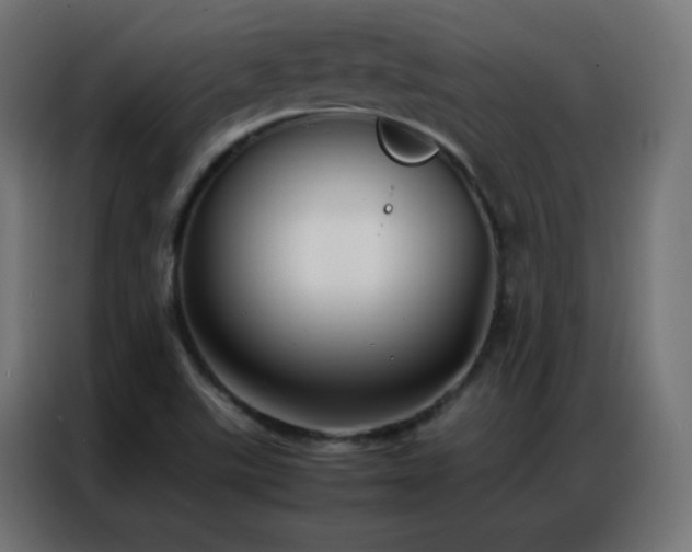 X0000086921507200704161351