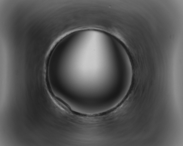 X0000086921508200704161351