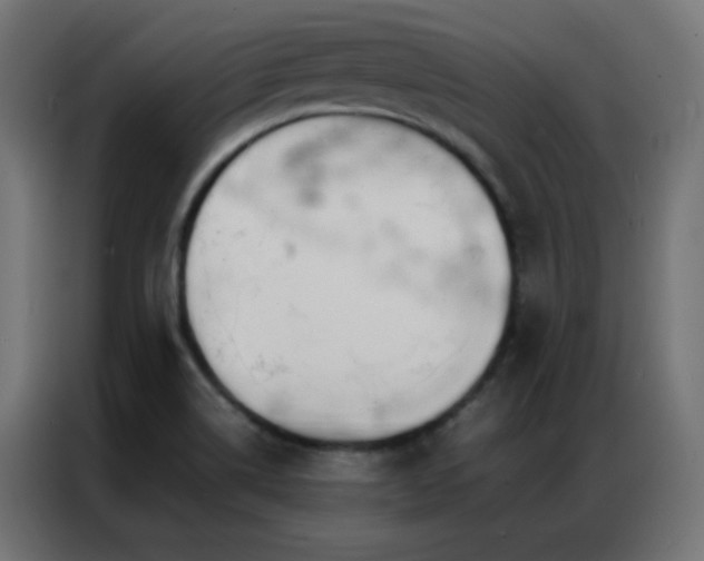 X0000086921514200704161351