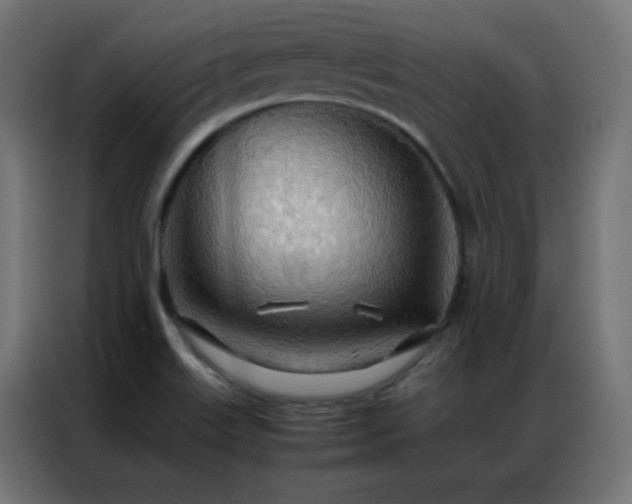 X0000086921515200704161351