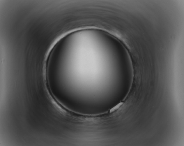 X0000086921516200704161352