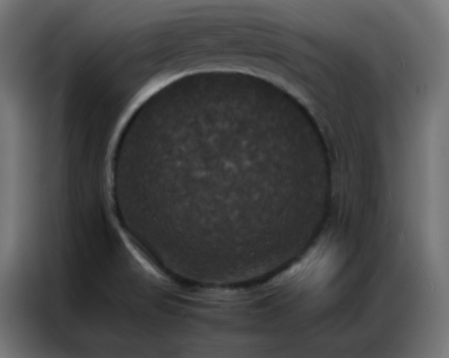 X0000086921517200704161352