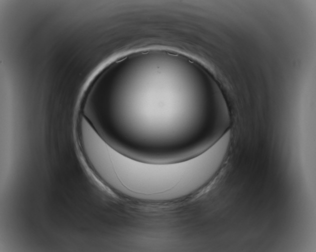 X0000086921518200704161352