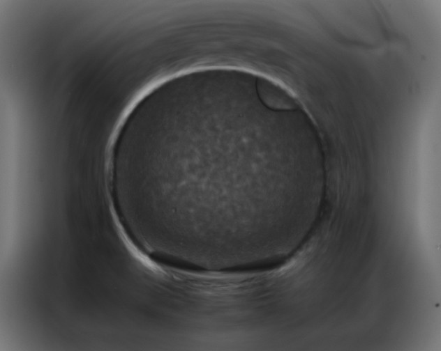 X0000086921519200704161352