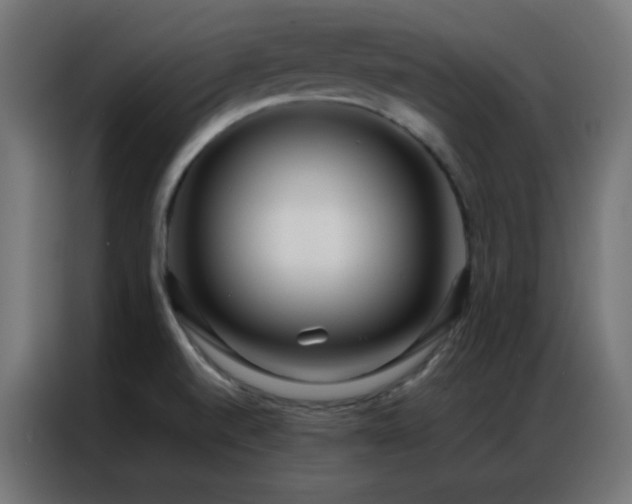 X0000086921520200704161352