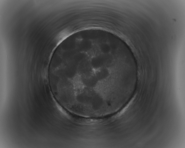 X0000086921521200704161352