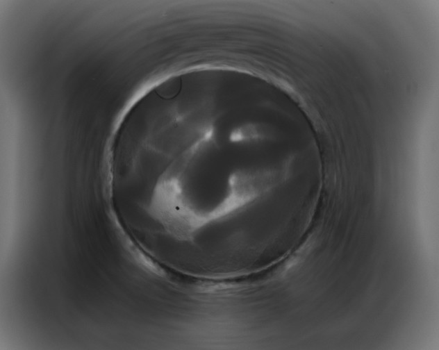 X0000086921522200704161352