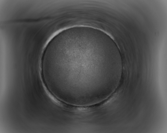 X0000086921523200704161352