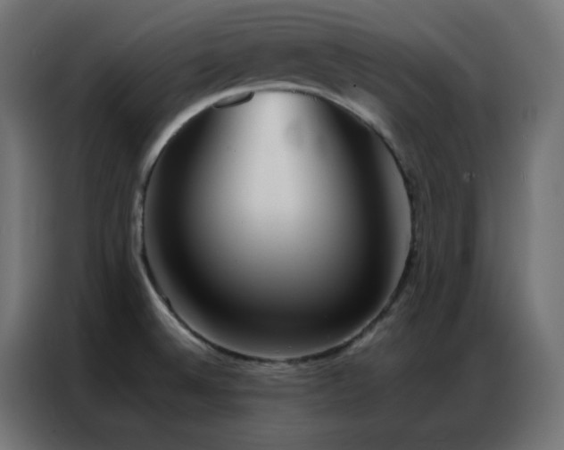 X0000086921524200704161352