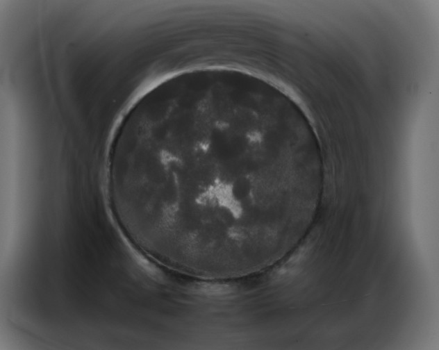 X0000086921525200704161352