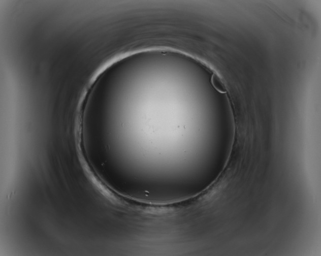 X0000086921526200704161352