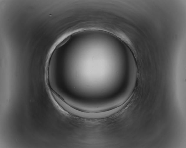 X0000086921528200704161352