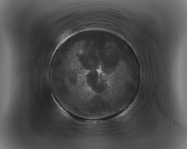 X0000086921529200704161352