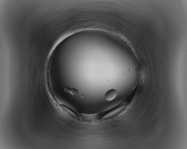 X0000086921530200704161352
