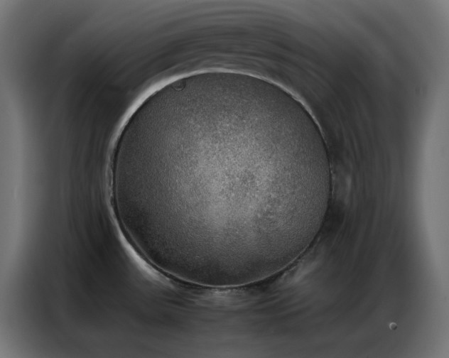 X0000086921531200704161352