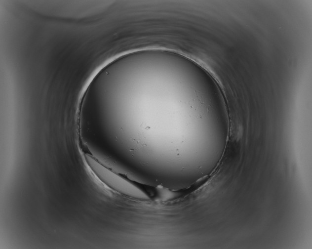 X0000086921532200704161352
