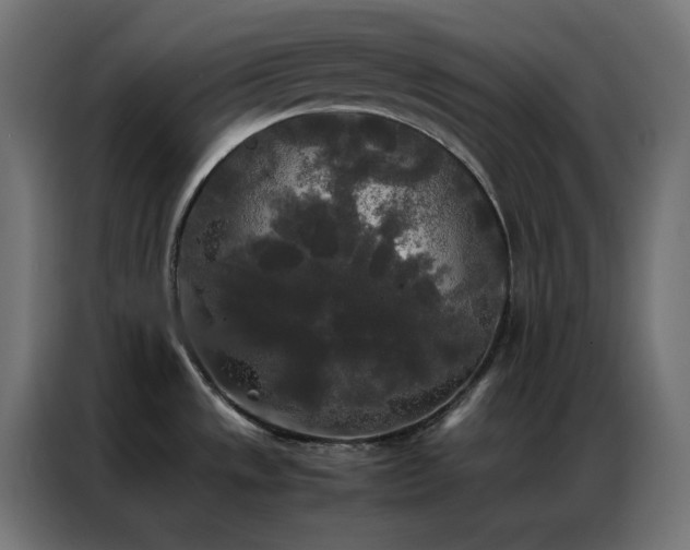X0000086921533200704161352