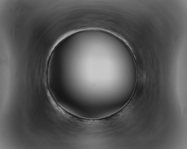 X0000086921534200704161352