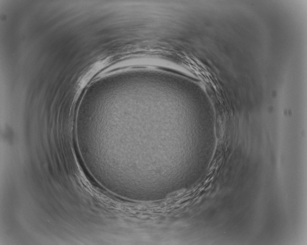 X0000086920003200704231317