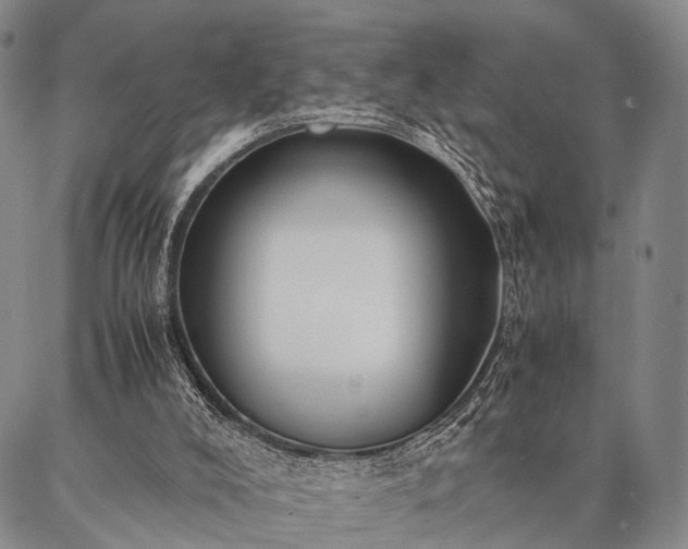 X0000086920008200704231317
