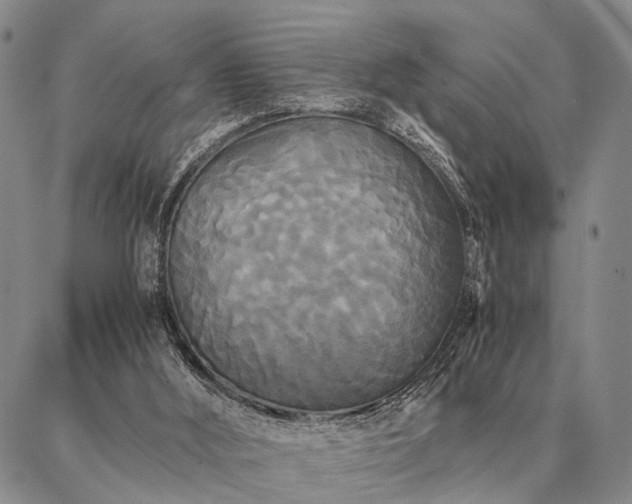 X0000086920012200704231317