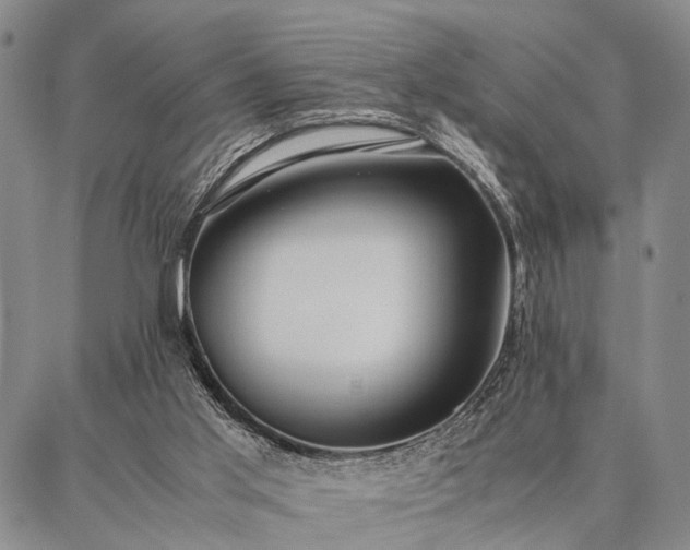 X0000086920013200704231317