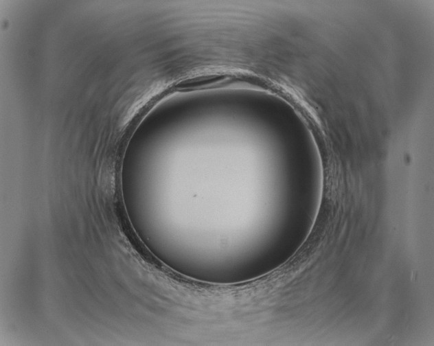 X0000086920015200704231317
