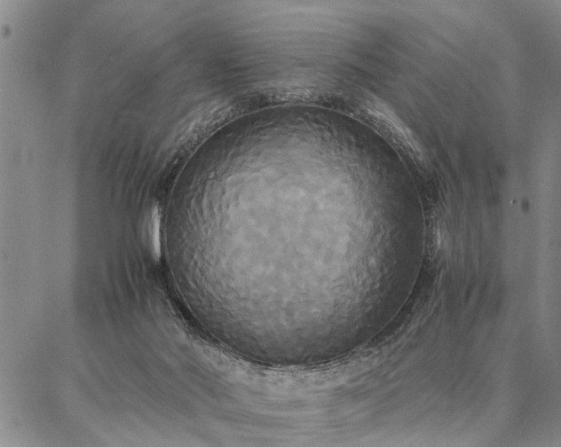 X0000086920022200704231316