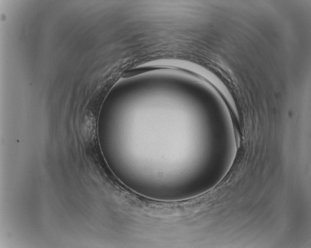 X0000086920029200704231316
