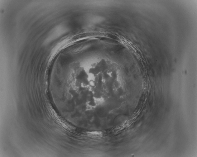 X0000086920053200704231315